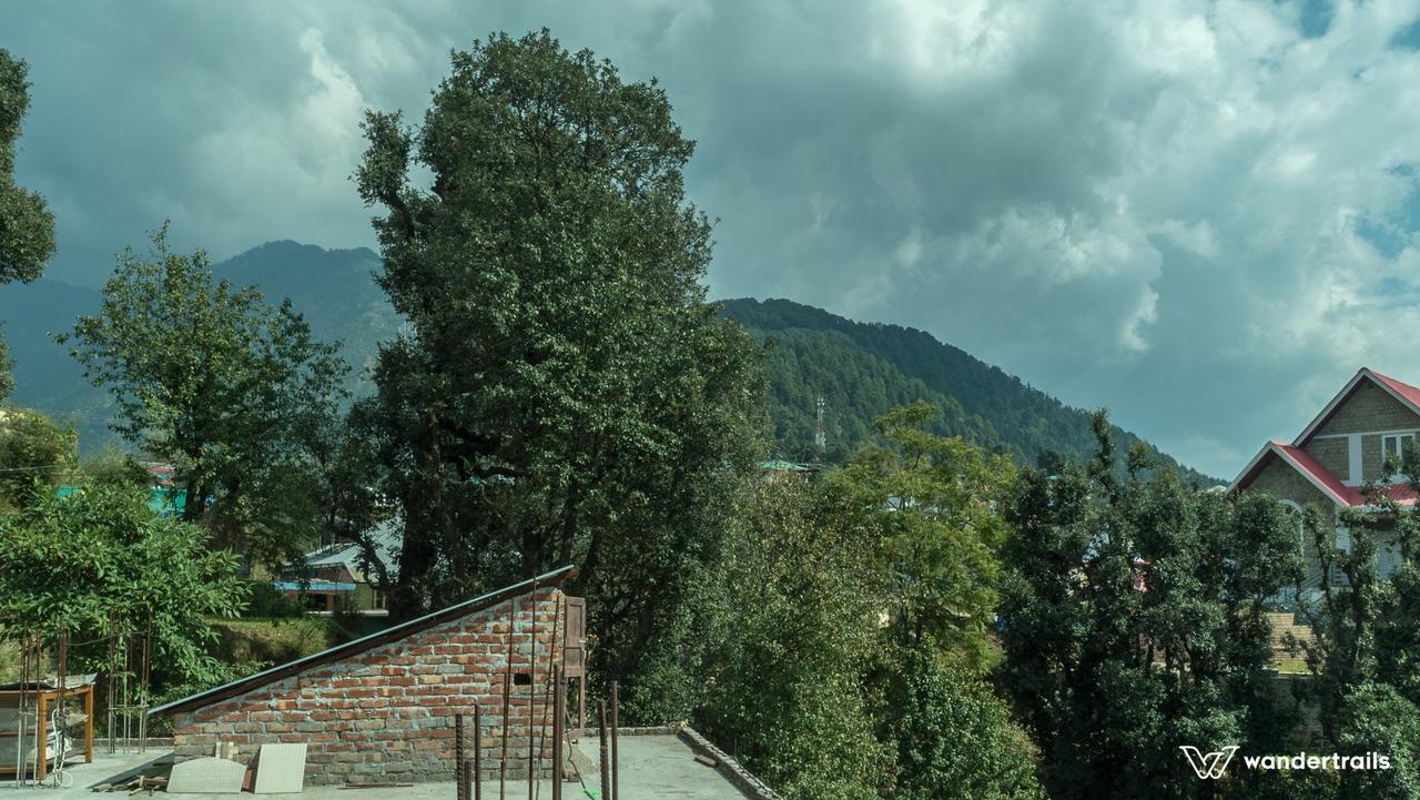 Himalayan Homestay دارامشالا المظهر الخارجي الصورة